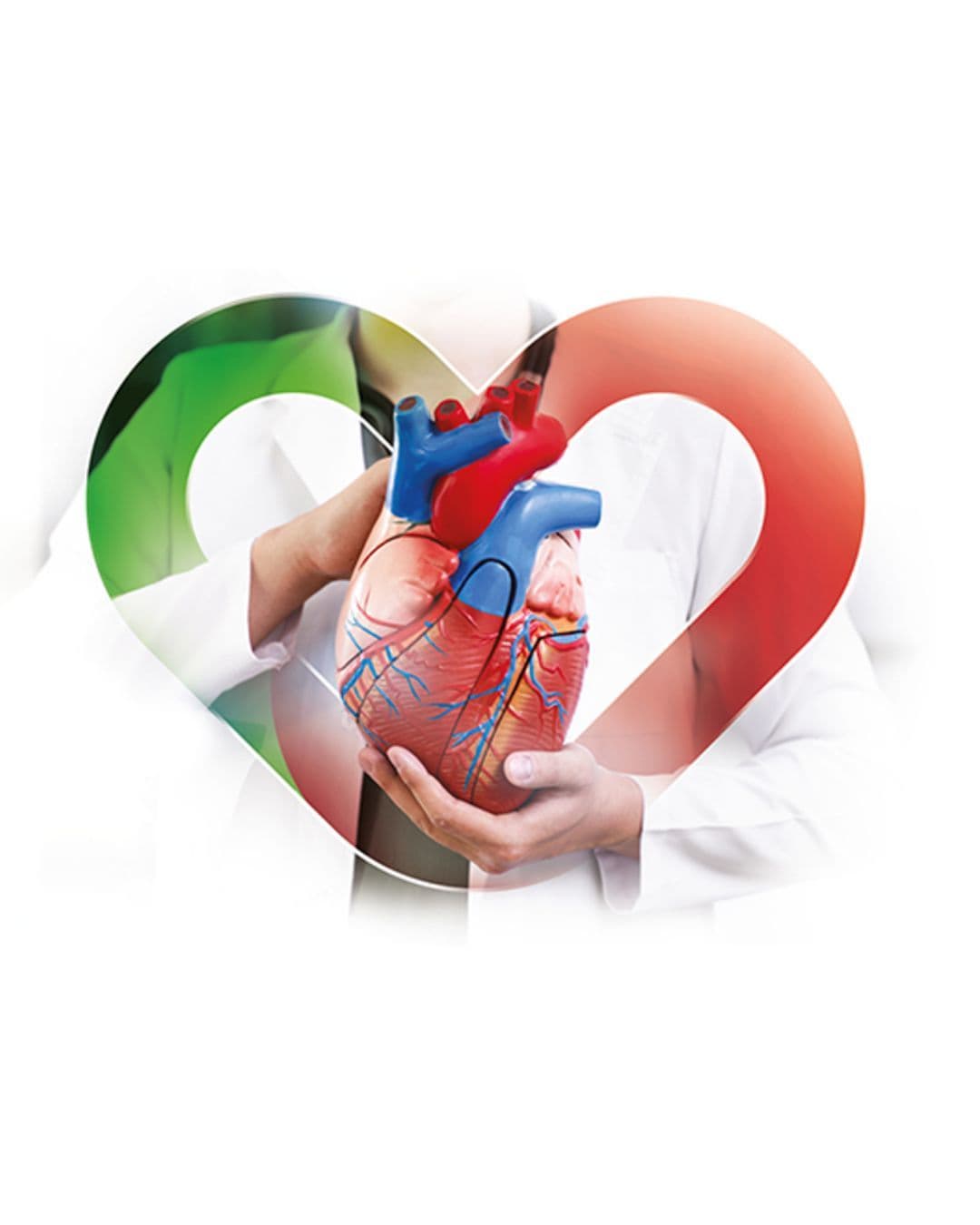 Beseda s občany o prevenci kardiovaskulárních onemocnění